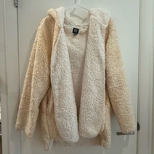 Urban Outfitter BDG Teddy Coat